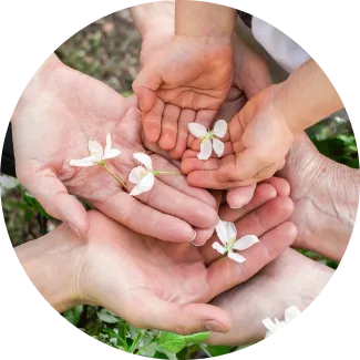 Healing hands with flowers Diverse hands together with flowers, showcasing the essence of healing and community in the Blessings program